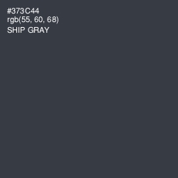 #373C44 - Ship Gray Color Image
